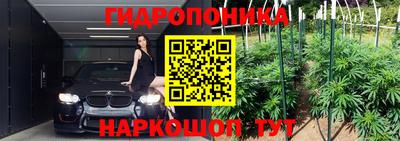спиды Кандалакша