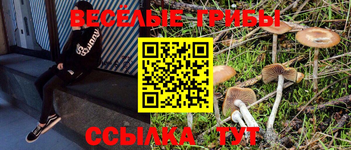 Галлюциногенные грибы MAGIC MUSHROOMS Кувандык