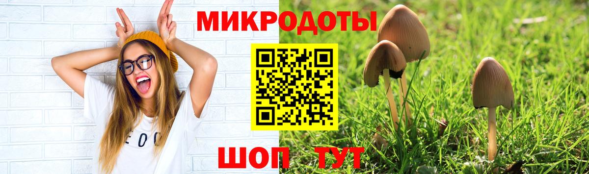 Галлюциногенные грибы Psilocybine cubensis  Вход с VPN  Кувандык 